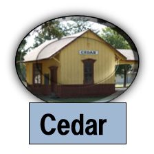 Cedar